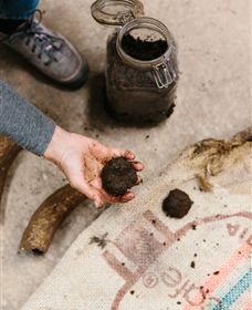 Kiltynane Wines - New South Wales Tourism  7