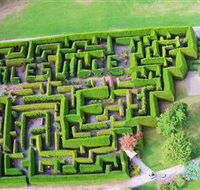 Hedgend Maze and Healesville Laser Sport - New South Wales Tourism 