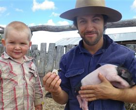 Gleneden Organic Farm And The Gleneden Bullock Team - New South Wales Tourism  2