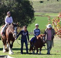 Bathurst Farm Experience - New South Wales Tourism 