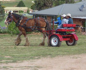 Bathurst Farm Experience - New South Wales Tourism  3