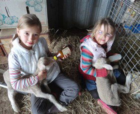 Bathurst Farm Experience - New South Wales Tourism  4