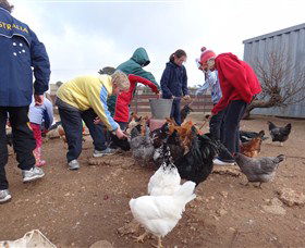 Bathurst Farm Experience - New South Wales Tourism  2