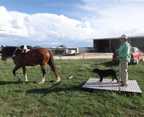 Bathurst Farm Experience - New South Wales Tourism  6