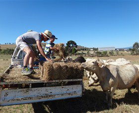 Bathurst Farm Experience - New South Wales Tourism  5