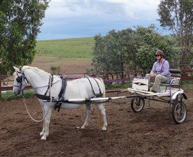 Bathurst Farm Experience - New South Wales Tourism  8