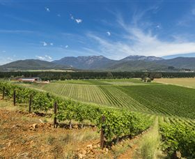 Feathertop Winery - New South Wales Tourism  3