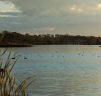 Lake Inverell Reserve - New South Wales Tourism 