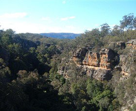 Ferntree Gully Reserve - New South Wales Tourism  0