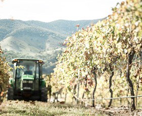 Logan Wines - New South Wales Tourism  5