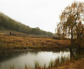 Logan Wines - New South Wales Tourism  6