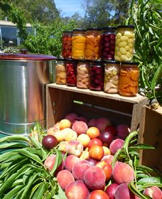 Rayner's Orchard - New South Wales Tourism  8