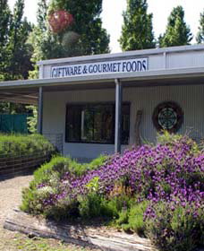 Crisp Galleries - New South Wales Tourism  0