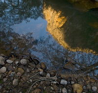 Abercrombie Karst Conservation Reserve - New South Wales Tourism 