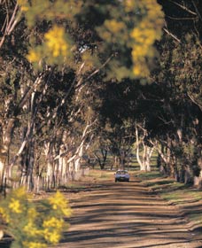 Albert Facey Heritage Trail - New South Wales Tourism  0