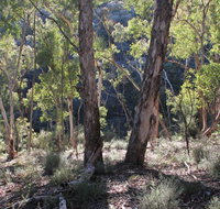 Mount Gray walking track - New South Wales Tourism 