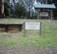 Shelley Forest Camp - New South Wales Tourism 