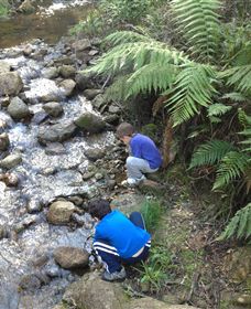 Shelley Forest Camp - New South Wales Tourism  2