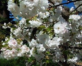 Beleura The House And Garden - New South Wales Tourism  1
