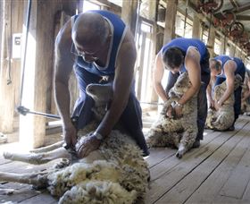 The Woolshed At Jondaryan - New South Wales Tourism  1