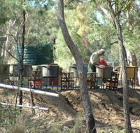 7 Oaks Sapphire Fossicking - New South Wales Tourism 