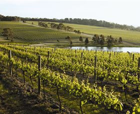 Yabby Lake Vineyard & Cellar Door - New South Wales Tourism  7