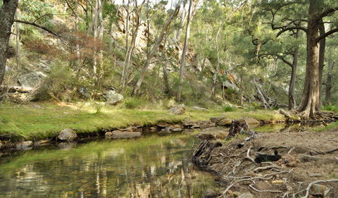 Capertee National Park - New South Wales Tourism  0