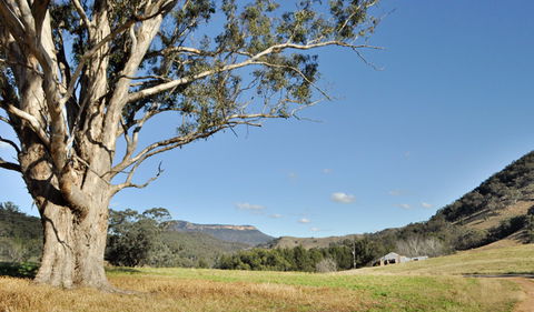 Capertee National Park - New South Wales Tourism  2
