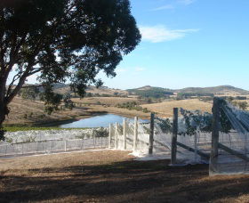 Helm Wines - New South Wales Tourism  4