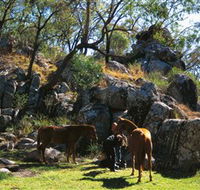 Coomba Falls - New South Wales Tourism 