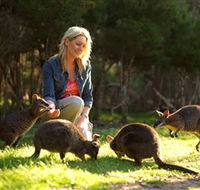 Moonlit Sanctuary Wildlife Conservation Park