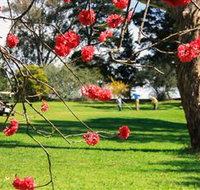 The Yass Golf Club - New South Wales Tourism 