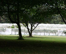Staindl Wines - New South Wales Tourism  0