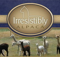 Marchmont Park Alpacas - New South Wales Tourism 