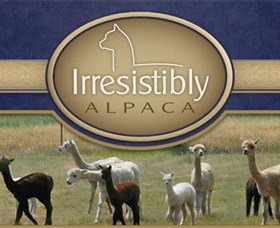 Marchmont Park Alpacas - New South Wales Tourism  0