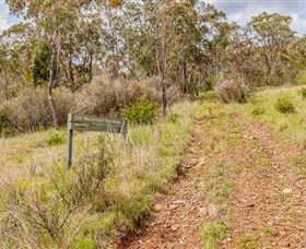 Old Mountain Road Walking Track - New South Wales Tourism  0