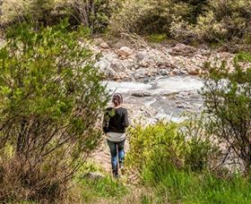 Old Mountain Road Walking Track - New South Wales Tourism  1