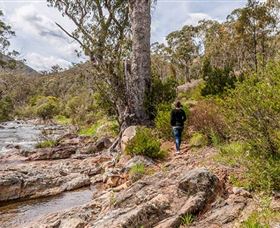 Old Mountain Road Walking Track - New South Wales Tourism  2