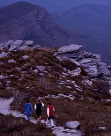 Bluff Knoll, Stirling Range National Park - New South Wales Tourism  0