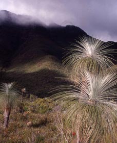 Bluff Knoll, Stirling Range National Park - New South Wales Tourism  3