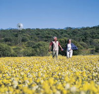 Koolanooka Springs - New South Wales Tourism 