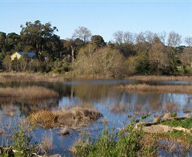 Coolart Wetlands And Homestead - New South Wales Tourism  0