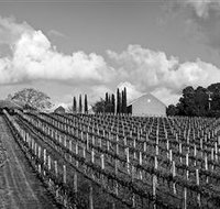 Willow Creek Vineyard - New South Wales Tourism 