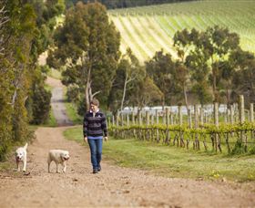 Willow Creek Vineyard - New South Wales Tourism  1