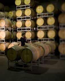 Willow Creek Vineyard - New South Wales Tourism  2