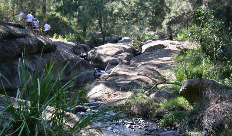 Belltrees NSW New South Wales Tourism 
