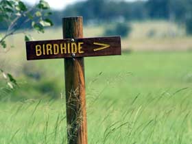 New South Wales Tourism