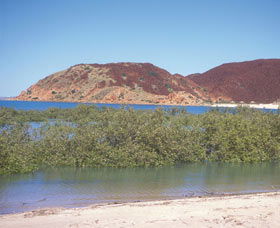 Hearsons Cove - New South Wales Tourism  0