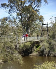 Avon Park - New South Wales Tourism  0