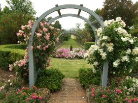 Harrow Gardens - New South Wales Tourism  2